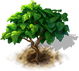 366f8cd0-cb6b-49da-8762-86e11fd22941.png