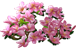 558660f5-80da-4889-9959-a31e7f0d742f.png