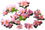 5a92d139-0680-46d0-af4e-7f7bdc39ca59.png