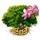 649a92e3-41e6-415e-9374-d5dc075829c4.png