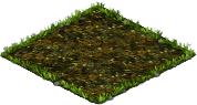 786f90ce-27cf-45a4-aa56-e8e8fcea2586.png