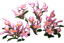 92a64734-5b19-4228-8399-4687fb72dd06.png
