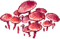 956d2a33-7f89-4e6e-9cba-0815ce9142bd.png