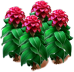 bitterginger_plant_layer3.png