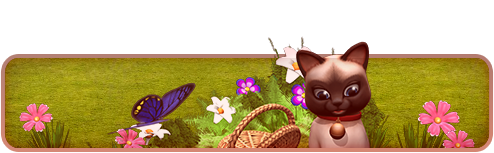 breedingapr2017_roominfoheader1.png