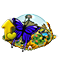 butterfly_stable_01_yellow_big.png