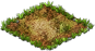 coralroot_1x1.png