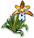 coralroot_icon_small.png