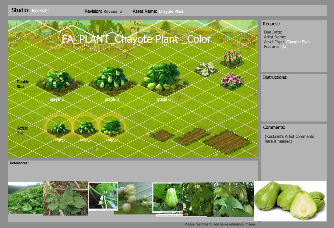 FA_plant_Chayote.jpg