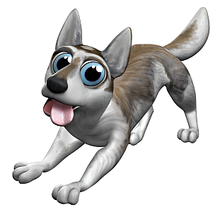 husky_304x300nokw2.png