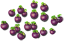 purplemangosteen_tree_layer3.png