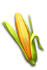 task_chicken_icon4.png