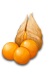task_mouse_icon3.png