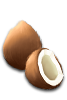 task_squirrel_icon4.png