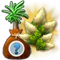 treeseedlingaugust2016_bahamarama_ponytailpalm-plus_icon_big.png
