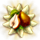 treeseedlingaugust2016_questicon_small.png