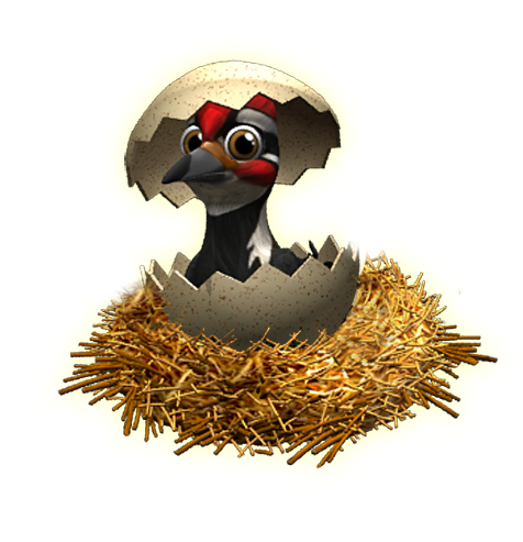 woodpecker_layer (1).png