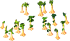 yellowtrumpet_tree_xxl_layer1.png